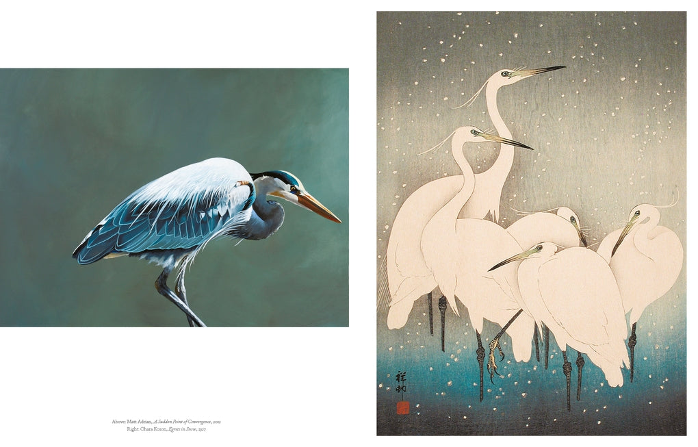 The Book of the Bird by Angus Hyland, Kendra Wilson