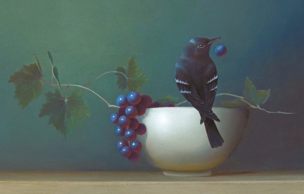 The Book of the Bird by Angus Hyland, Kendra Wilson