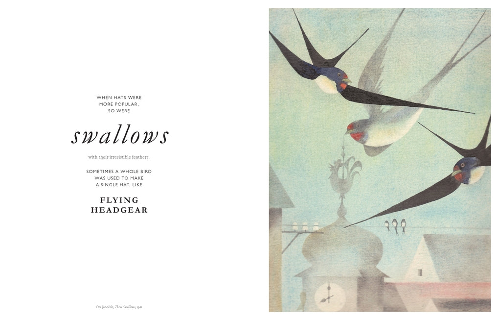The Book of the Bird by Angus Hyland, Kendra Wilson