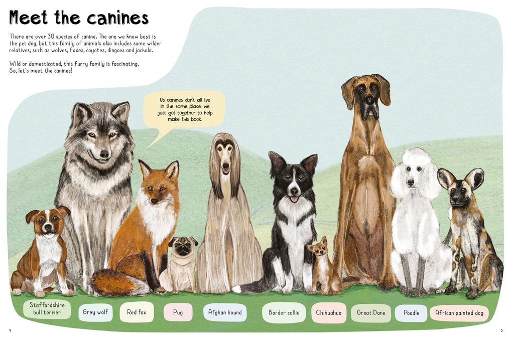 A Book of Dogs (and other canines) by Katie Viggers