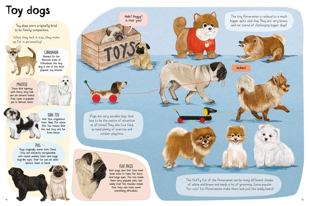 A Book of Dogs (and other canines) by Katie Viggers