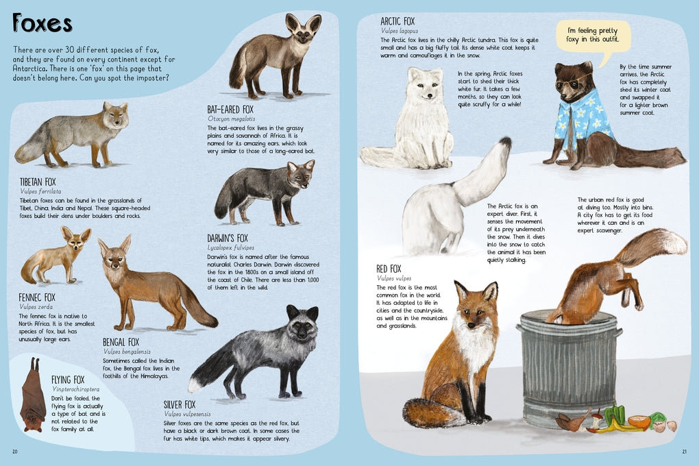 A Book of Dogs (and other canines) by Katie Viggers