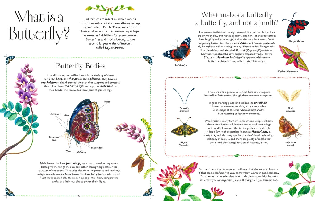 Butterflies by Jon Dunn, Georgina Taylor, Hanako Clulow