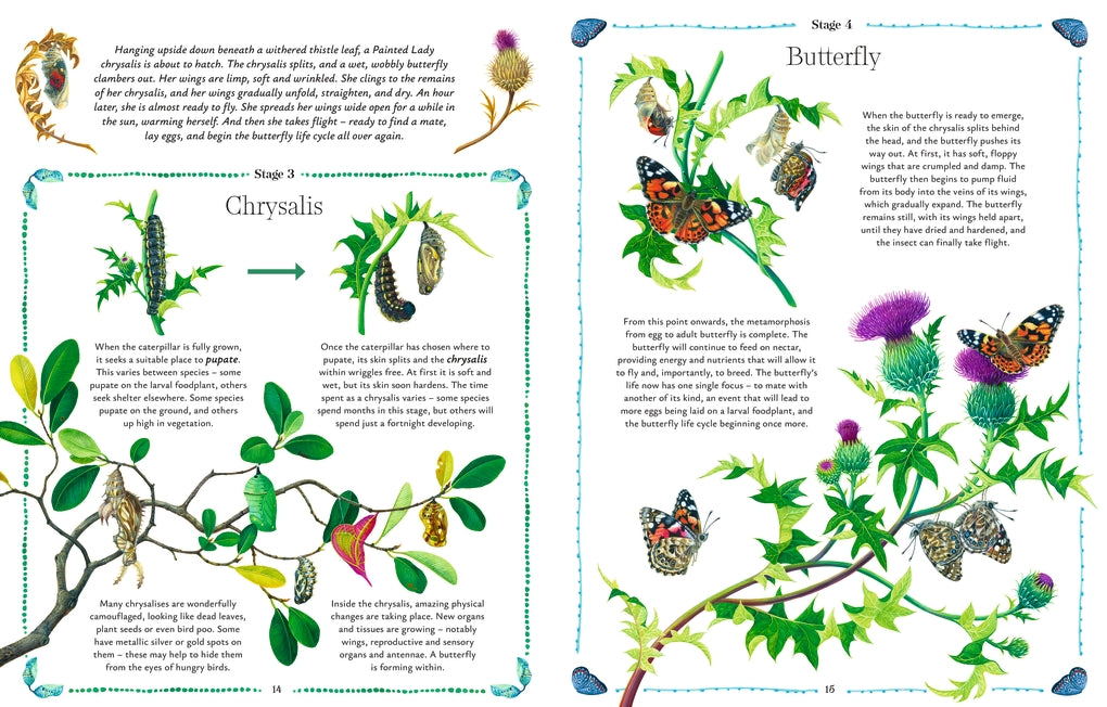 Butterflies by Jon Dunn, Georgina Taylor, Hanako Clulow