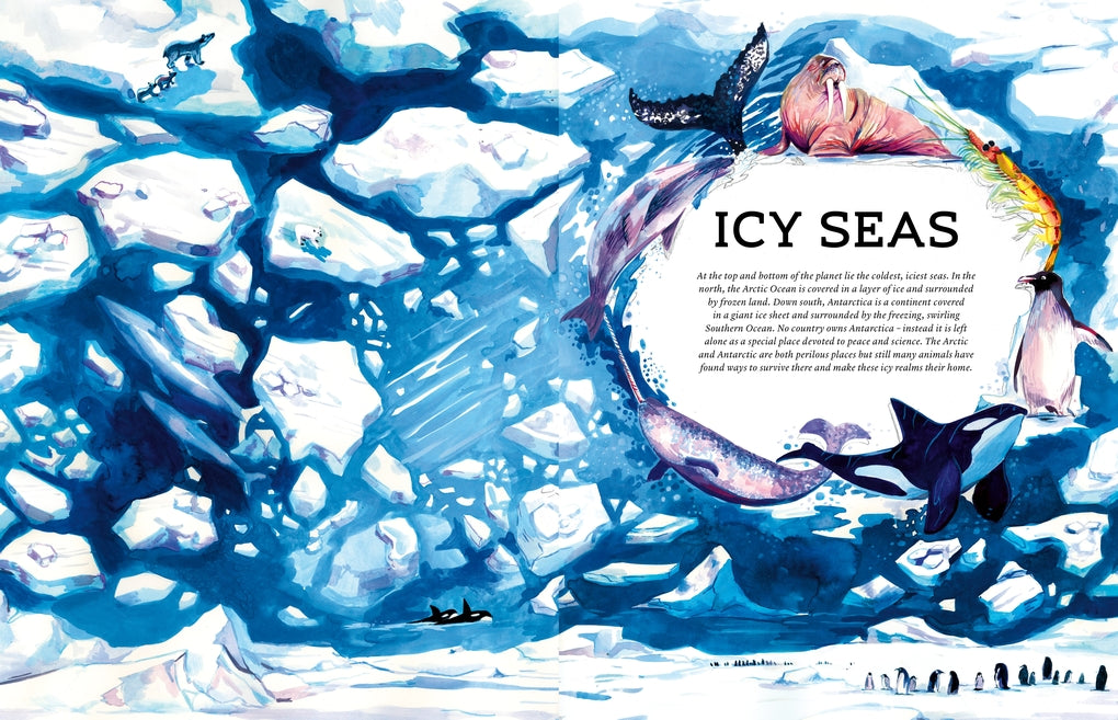 Oceanopedia by Helen Scales