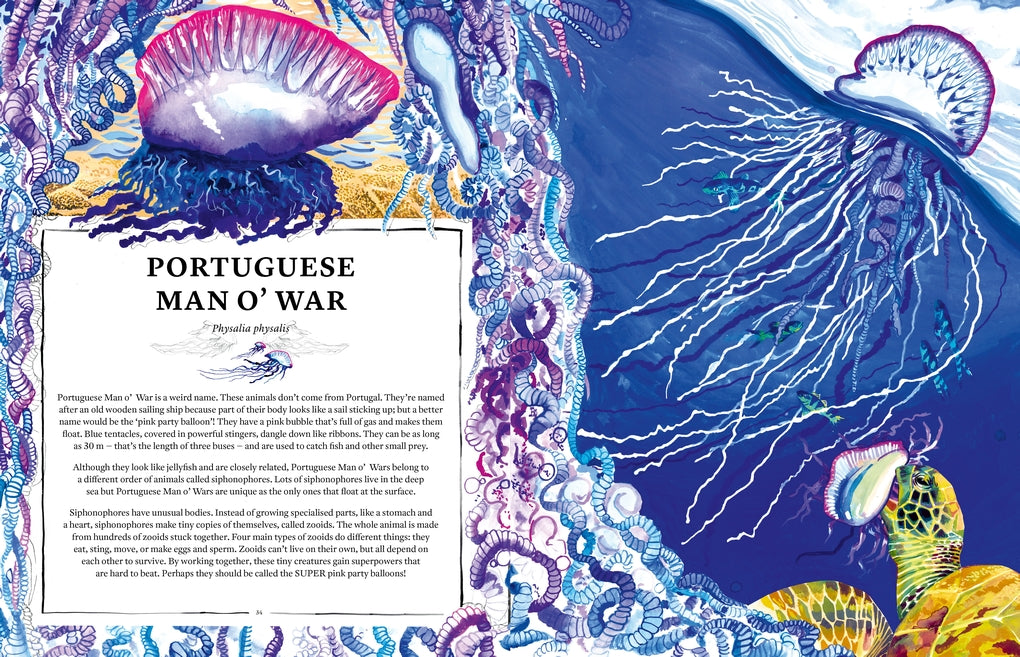 Oceanopedia by Helen Scales