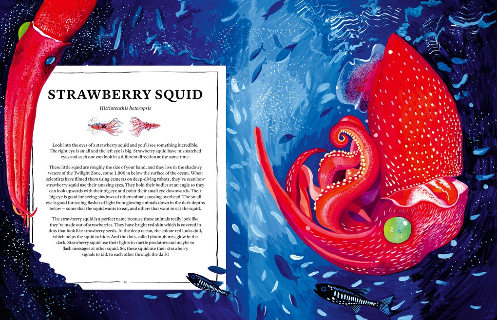 Oceanopedia by Helen Scales