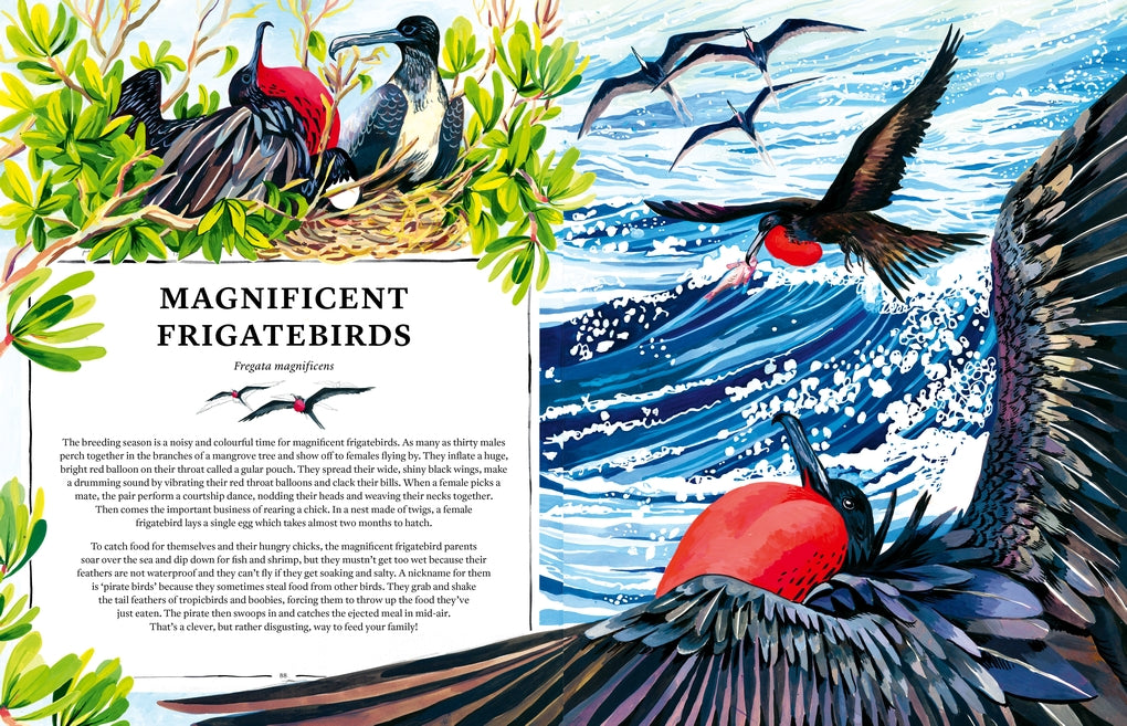 Oceanopedia by Helen Scales