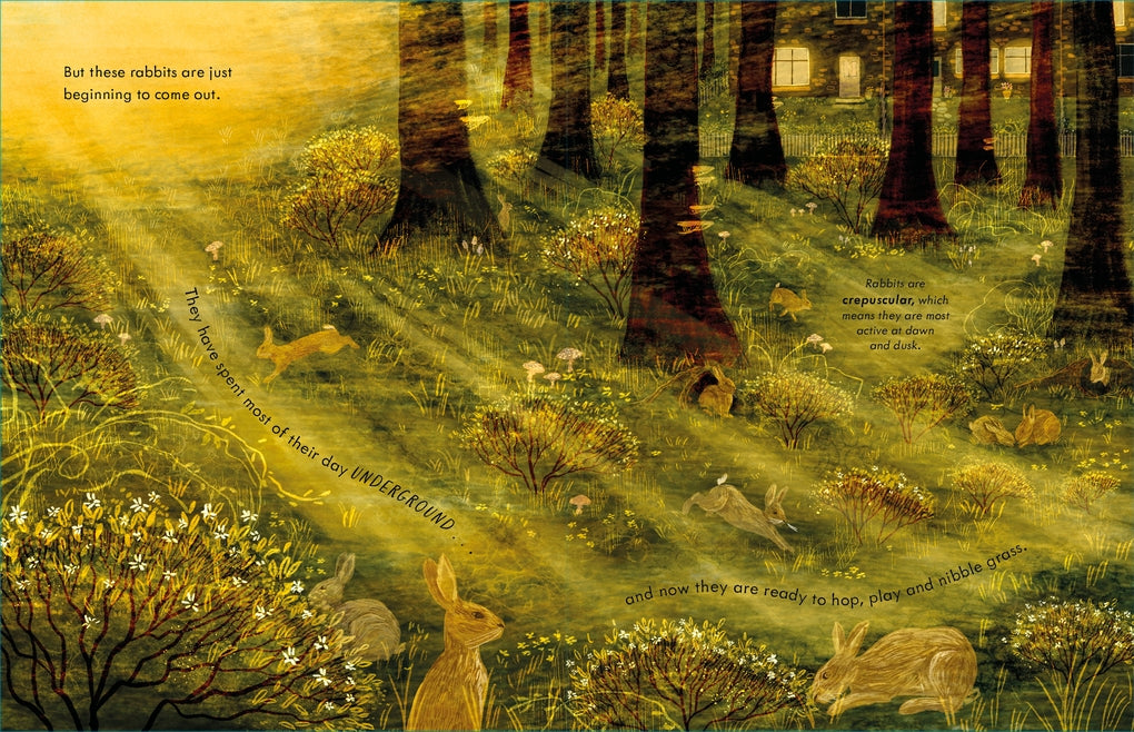 A Walk in the Dark by Alice Hemming, Elin Manon