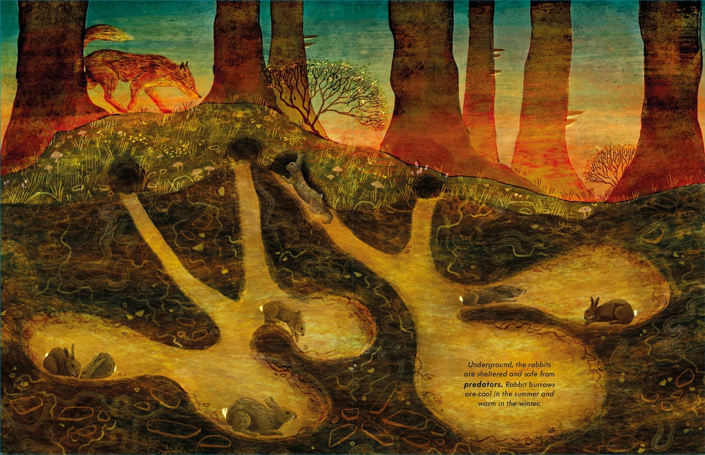 A Walk in the Dark by Alice Hemming, Elin Manon