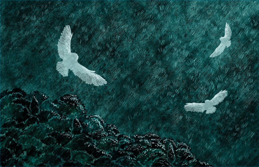 A Walk in the Dark by Alice Hemming, Elin Manon