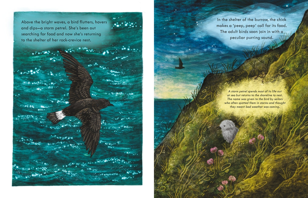 A Walk at Dawn by Alice Hemming, Elin Manon