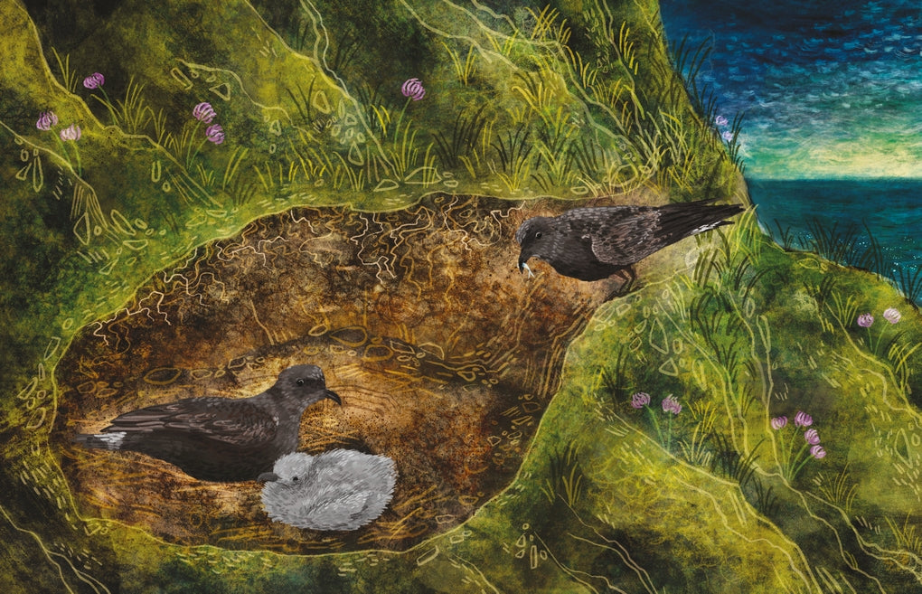 A Walk at Dawn by Alice Hemming, Elin Manon