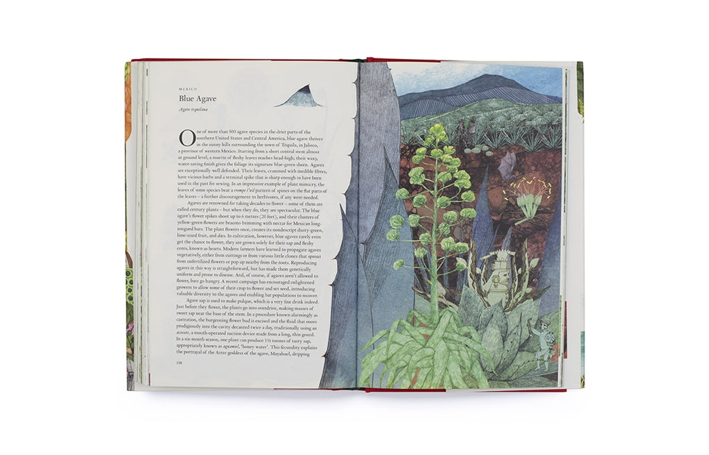 Around the World in 80 Plants by Jonathan Drori, Lucille Clerc