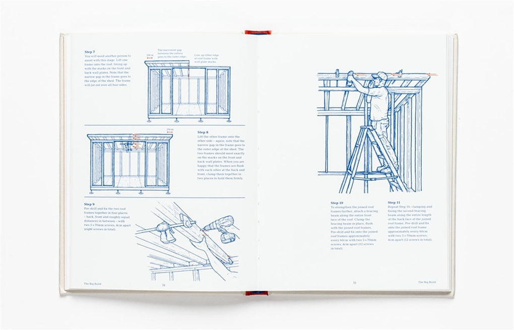 How to Build a Shed by Lee John Phillips, Sally Coulthard