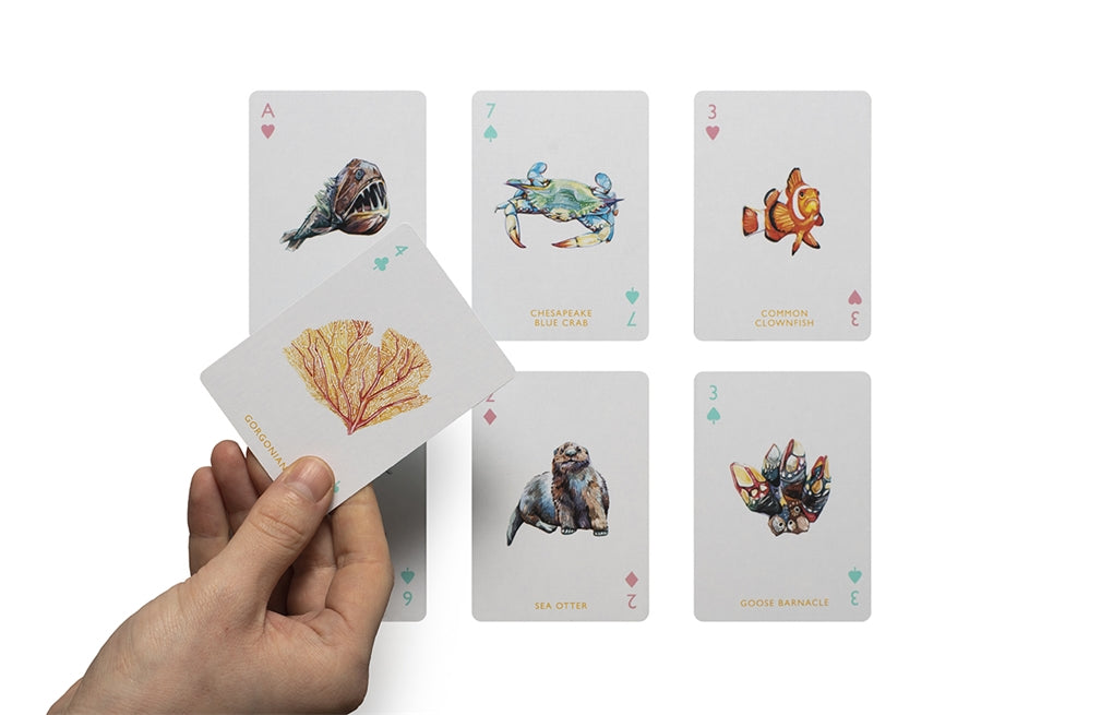 Ocean Playing Cards by Holly Exley, Magma Publishing Ltd