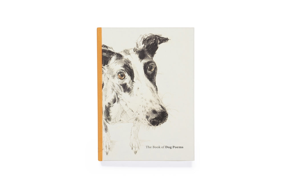 The Book of Dog Poems by Ana Sampson, Sarah Maycock