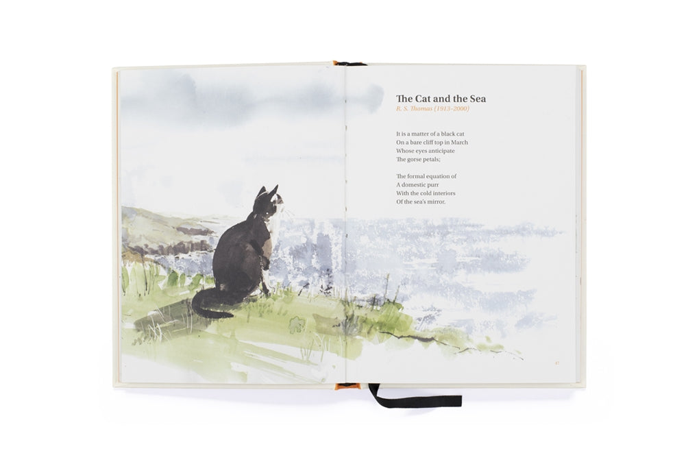The Book of Cat Poems by Sarah Maycock, Ana Sampson
