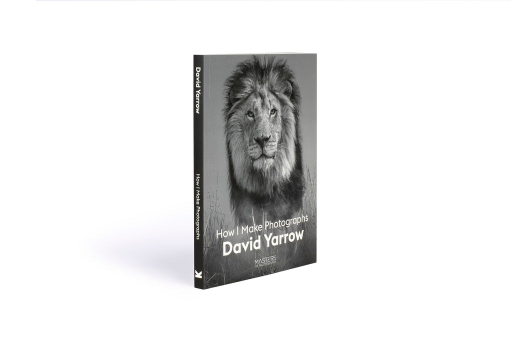 David Yarrow by David Yarrow