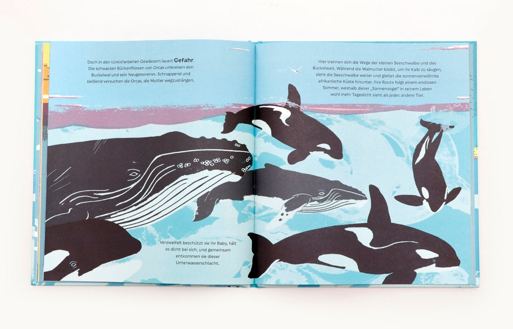 Die Seeschwalbe und der Buckelwal by Catherine Barr, Gerry Turley