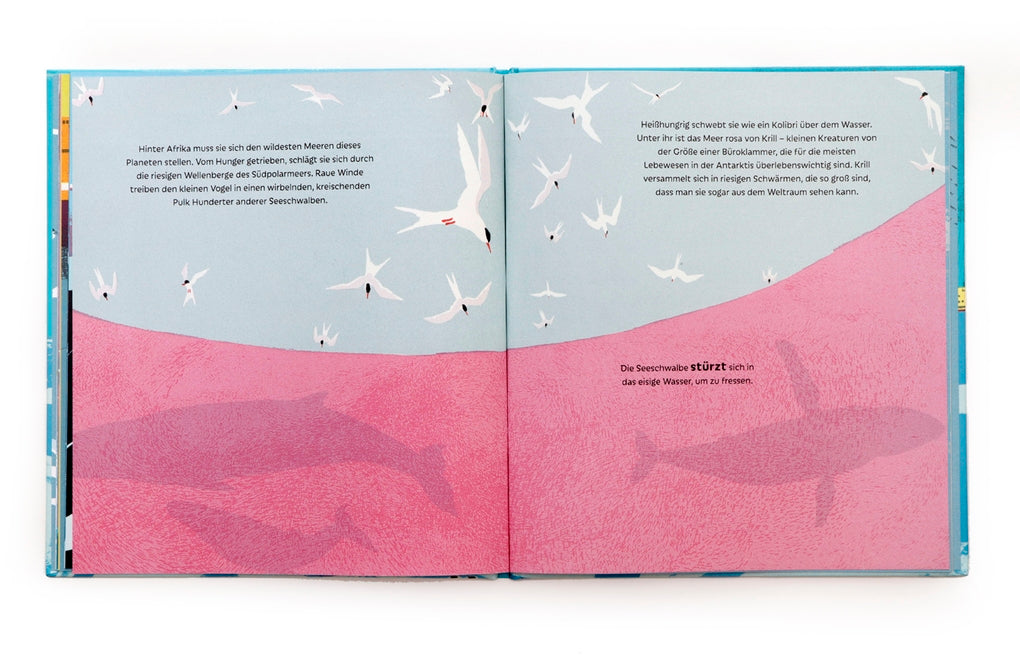 Die Seeschwalbe und der Buckelwal by Catherine Barr, Gerry Turley