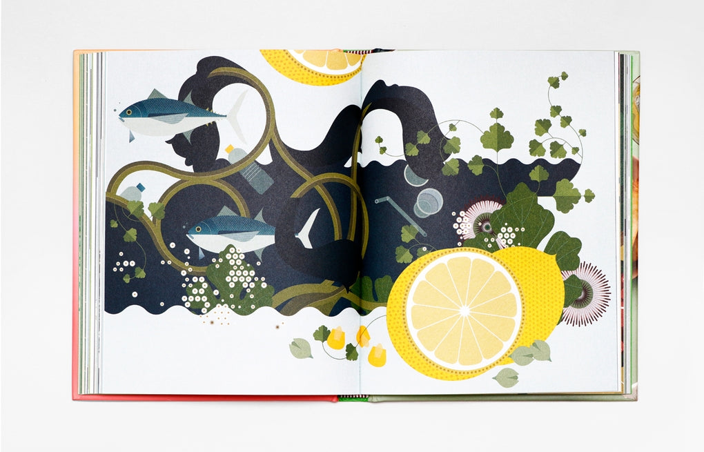 Die grüne Lunchbox by Becky Alexander, Birgit van der Avoort