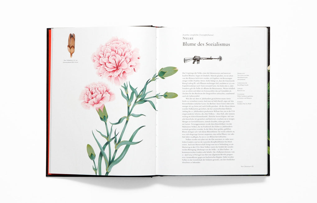 Die Geschichte der Blumen by Noel Kingsbury