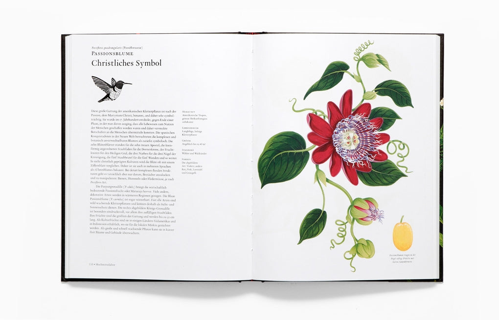 Die Geschichte der Blumen by Noel Kingsbury