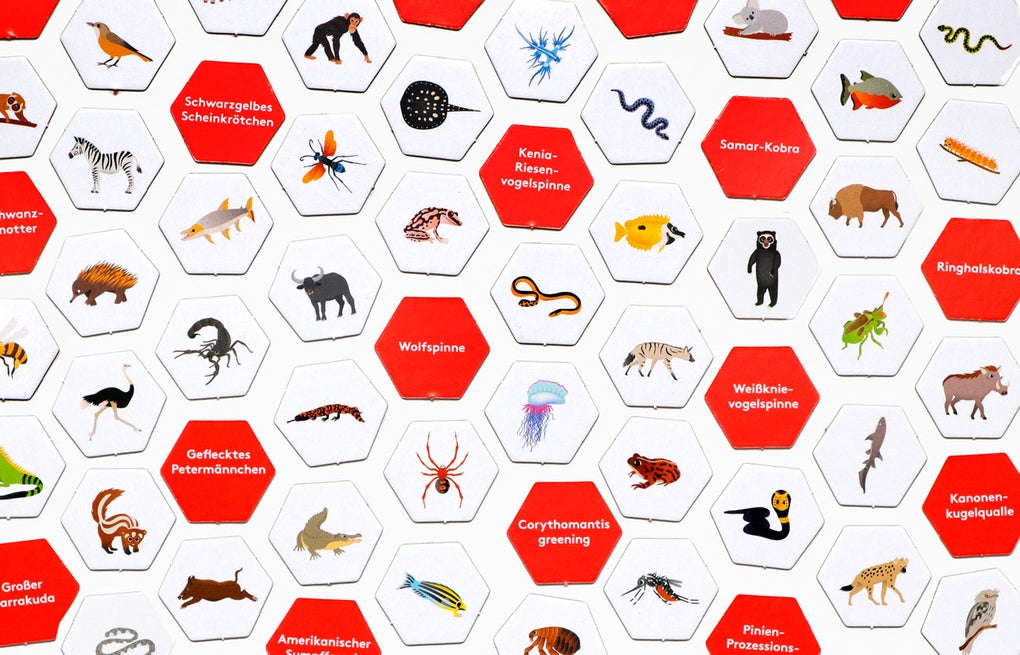 Erste*r sein! Gefährliche Tiere by Caroline Selmes, Anne Vogel-Ropers