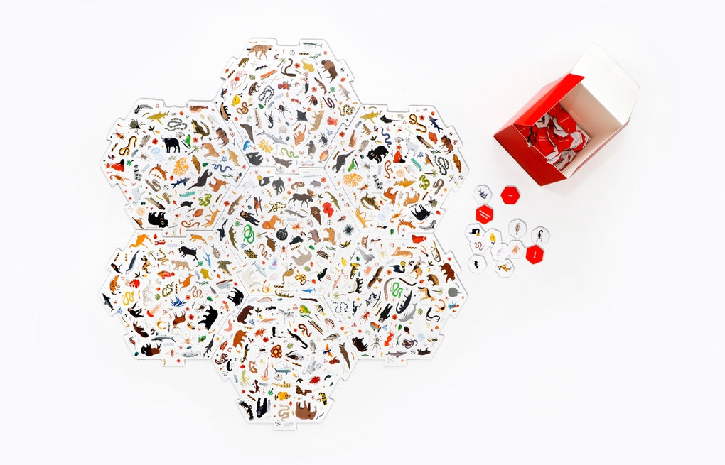 Erste*r sein! Gefährliche Tiere by Caroline Selmes, Anne Vogel-Ropers