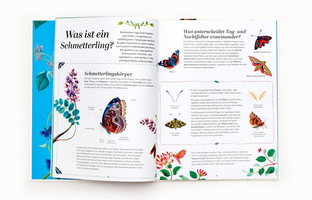 Schmetterlinge by Jon Dunn, Georgina Taylor, Hanako Clulow