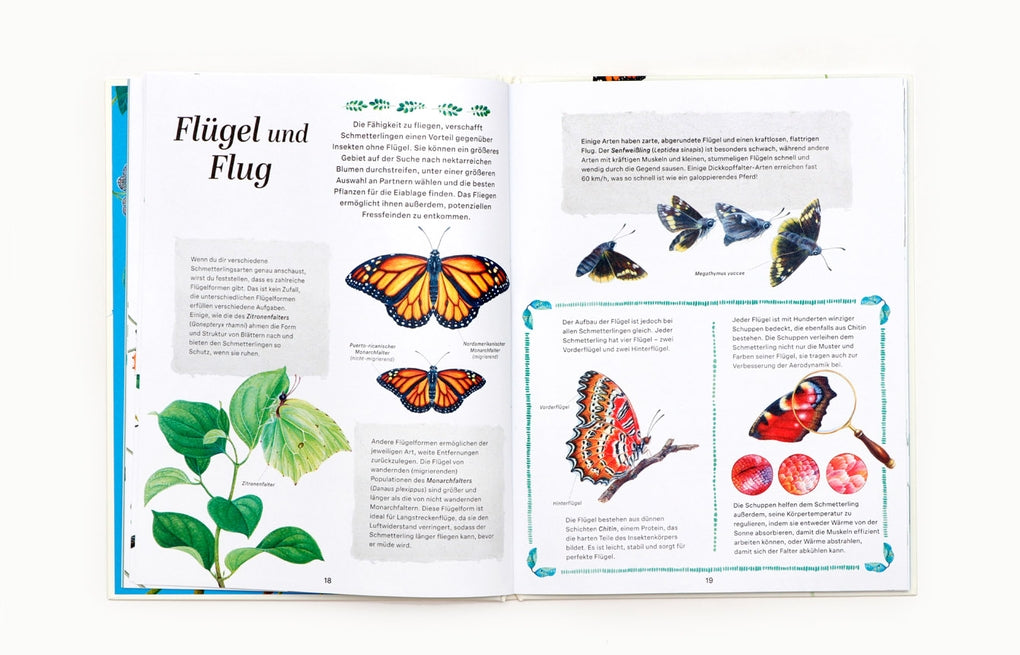 Schmetterlinge by Jon Dunn, Georgina Taylor, Hanako Clulow