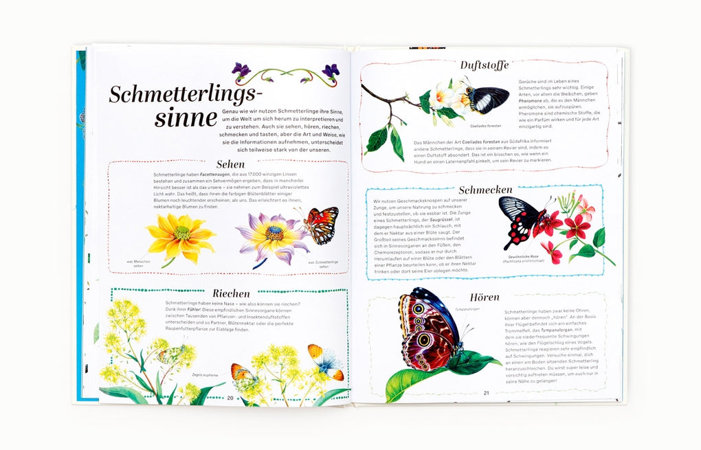 Schmetterlinge by Jon Dunn, Georgina Taylor, Hanako Clulow