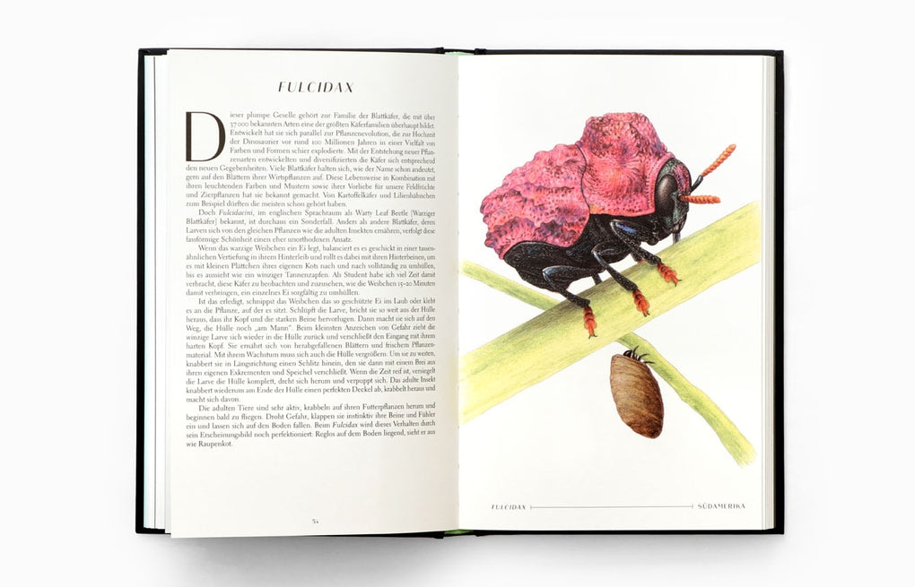 Wunderwelt der Insekten by Ross Piper