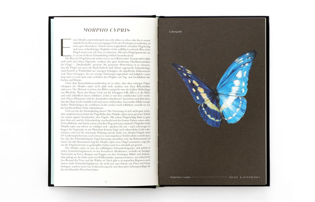 Wunderwelt der Insekten by Ross Piper