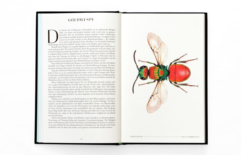 Wunderwelt der Insekten by Ross Piper