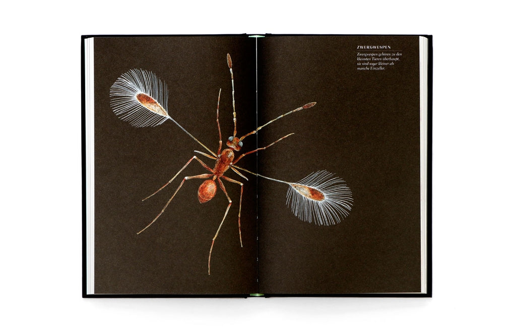 Wunderwelt der Insekten by Ross Piper