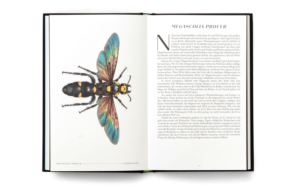 Wunderwelt der Insekten by Ross Piper