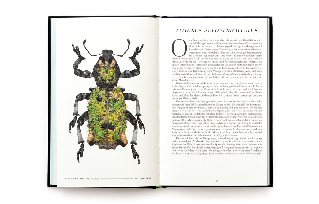 Wunderwelt der Insekten by Ross Piper