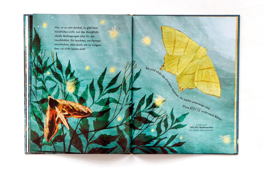 Nachtwanderung by Alice Hemming, Elin Manon