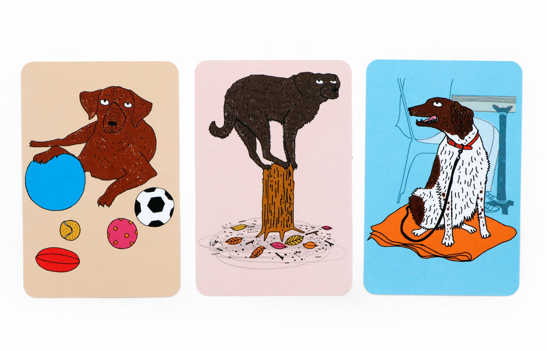 Hundeschule (auch für Menschen)