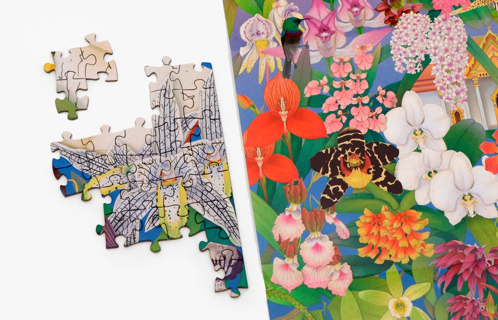 In 50 Orchideen um die Welt by Whooli Chen