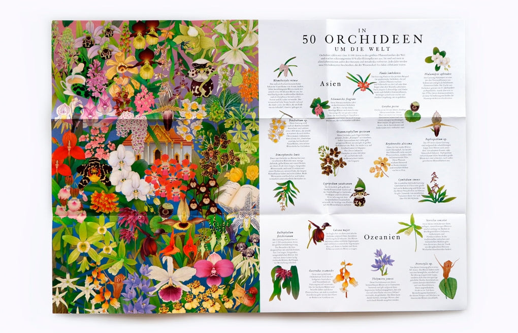 In 50 Orchideen um die Welt by Whooli Chen