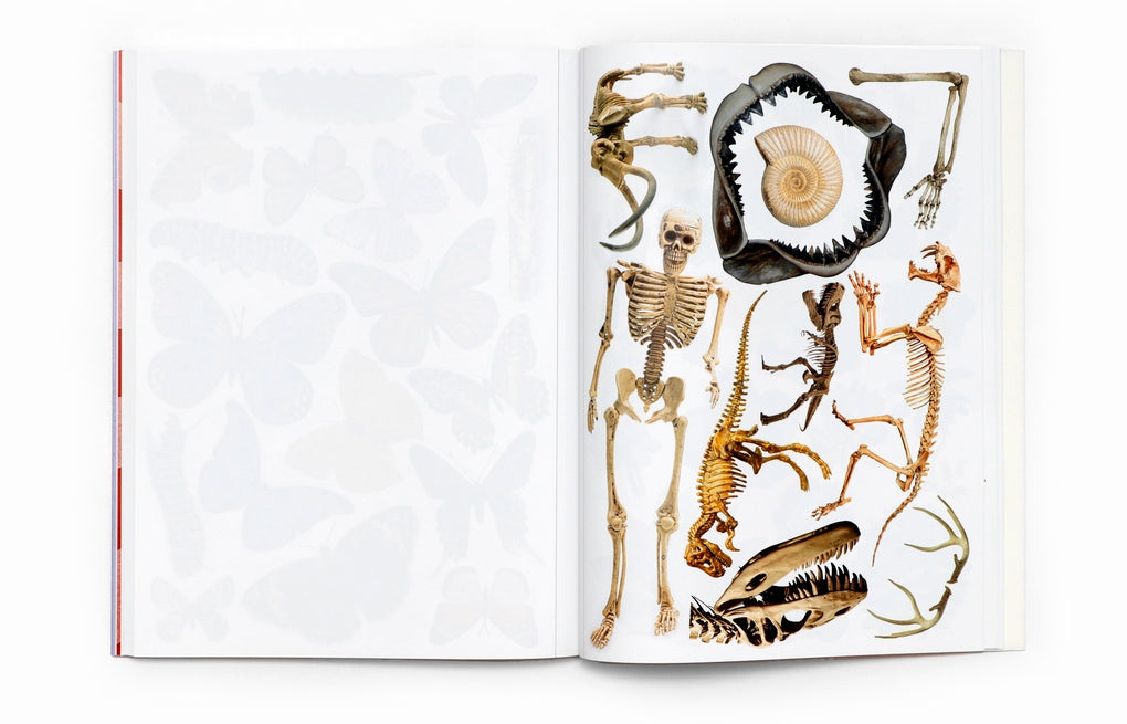 Collage Fantastique! by Peter Platel