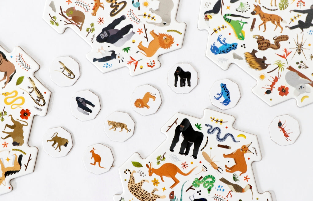 Erste*r sein: Safari by Caroline Selmes, Caroline Selmes