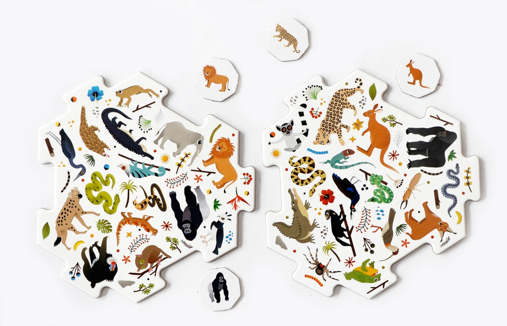 Erste*r sein: Safari by Caroline Selmes, Caroline Selmes