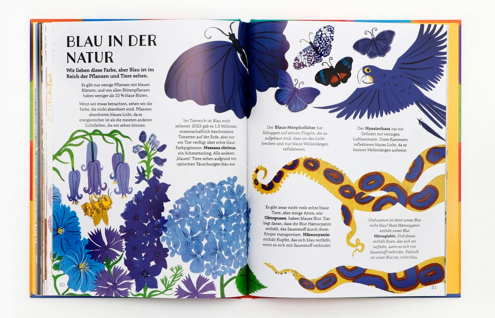Kaleidoskop by Laura Mucha, Nina Chakrabarti