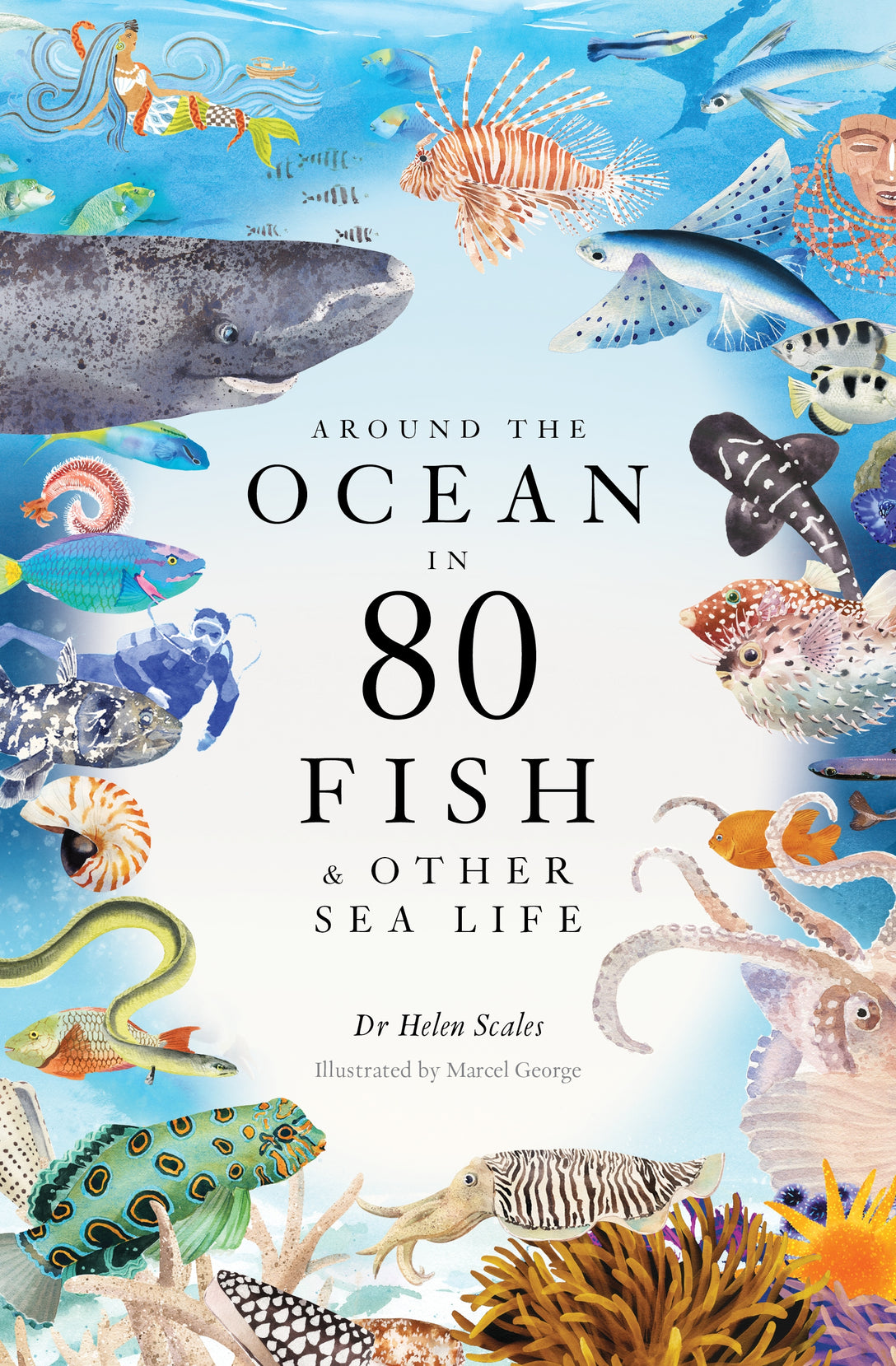 Around the Ocean in 80 Fish and other Sea Life by Helen Scales, Marcel George
