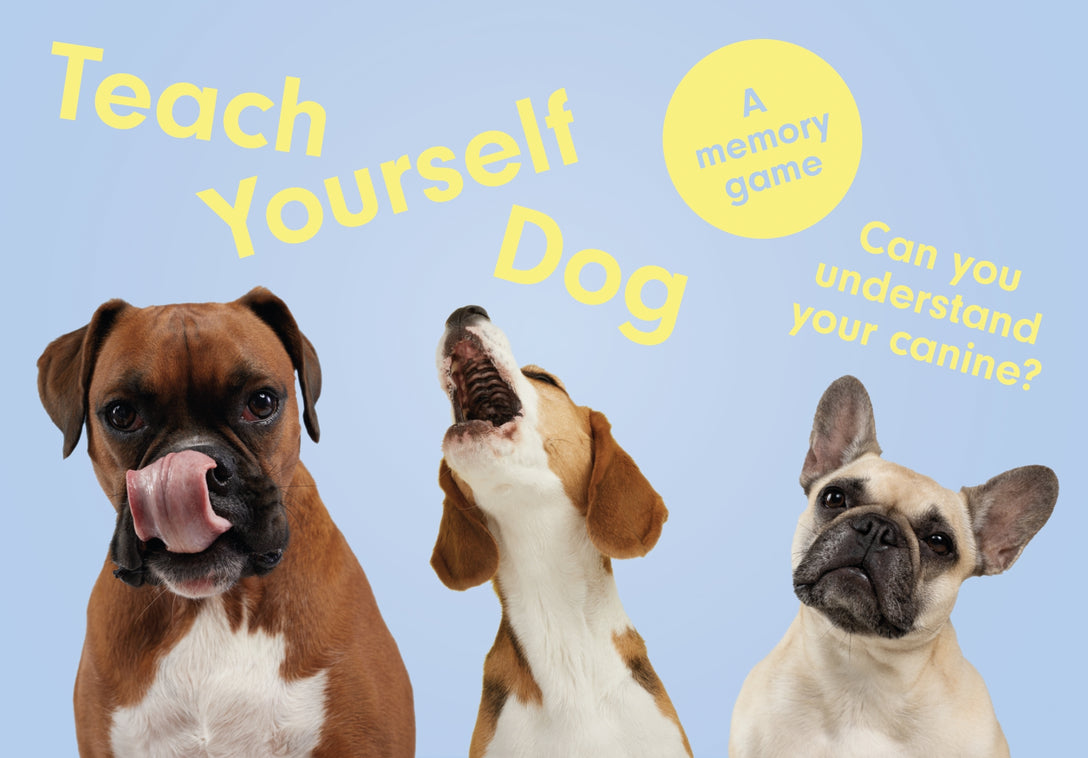 Teach Yourself Dog by Louise Glazebrook, Gerrard Gethings