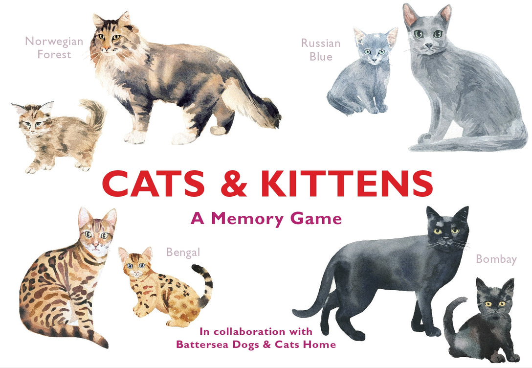 Cats & Kittens by Marcel George, Laurence King Publishing